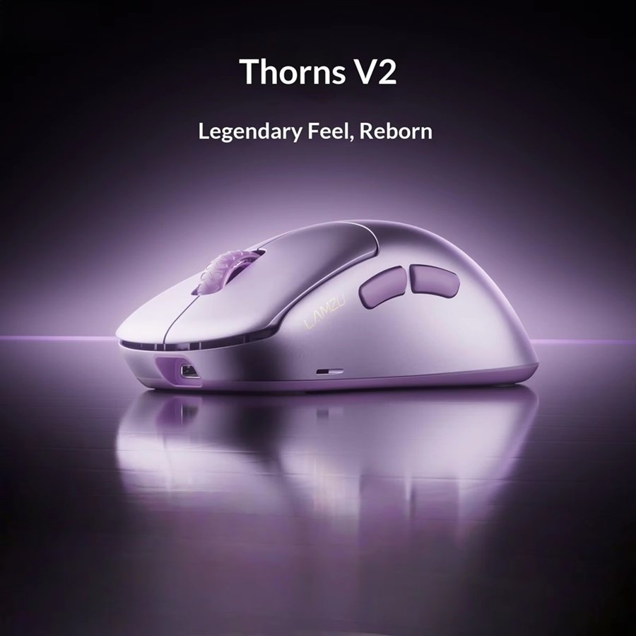 Lamzu Thorn V2 Review