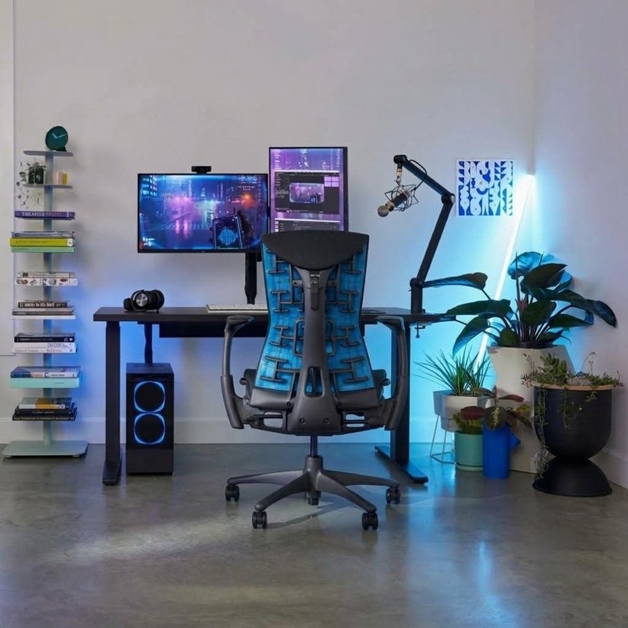 Adjustment controls and backrest mechanism of the Herman Miller Logitech Embody